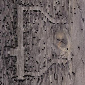 DJ Signify - Sleep No More   CD